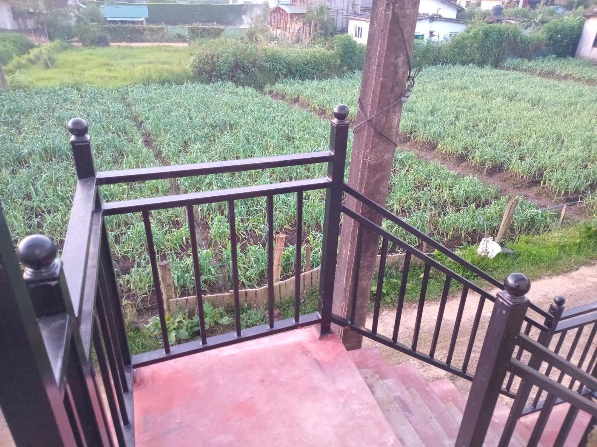 Serenity Heights 努沃勒埃利耶 外观 照片